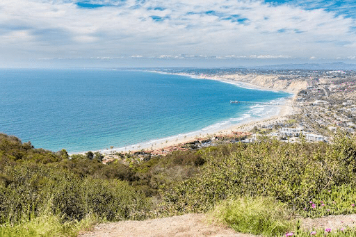 LA JOLLA VIEWPOINT