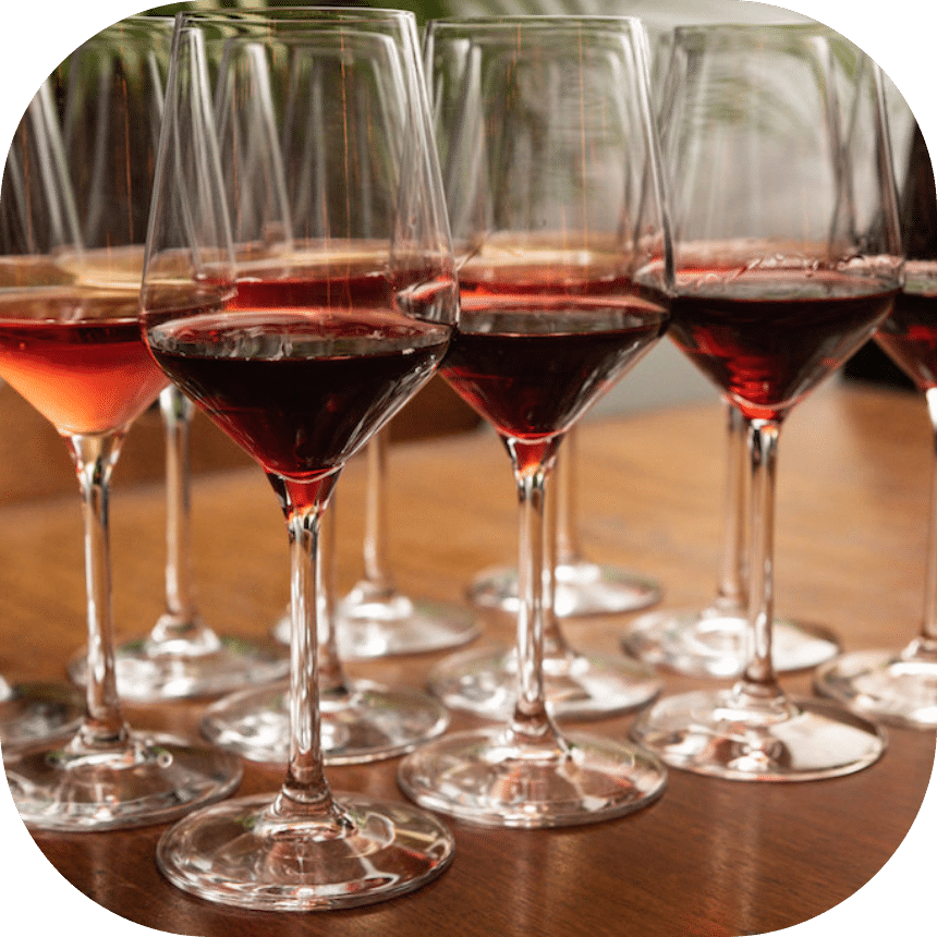 wine-tasting-VVV@2x glasses of wine lined up on a table for the Little Italy wine tasting tour