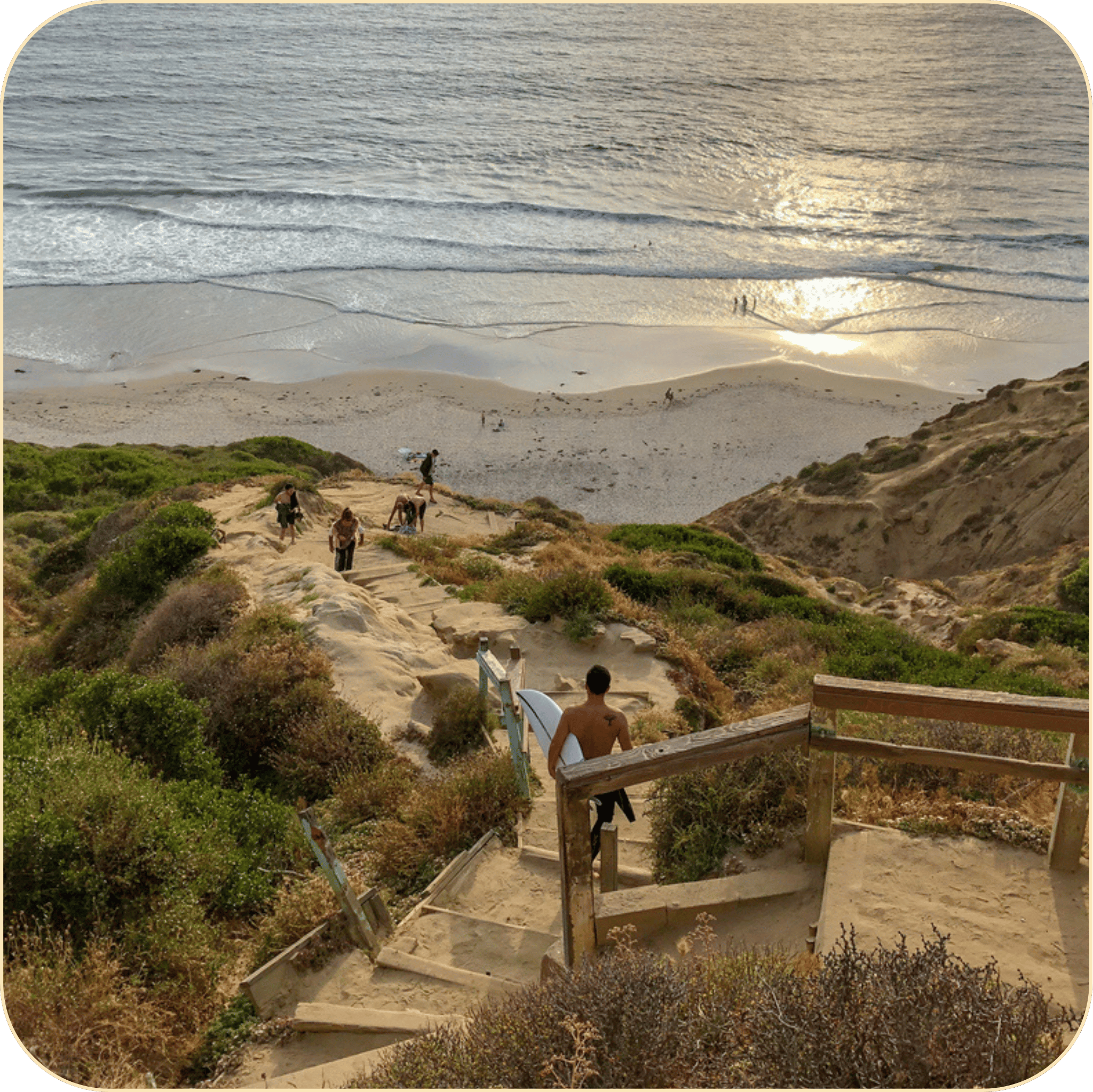 Torrey Pines Beach Tour