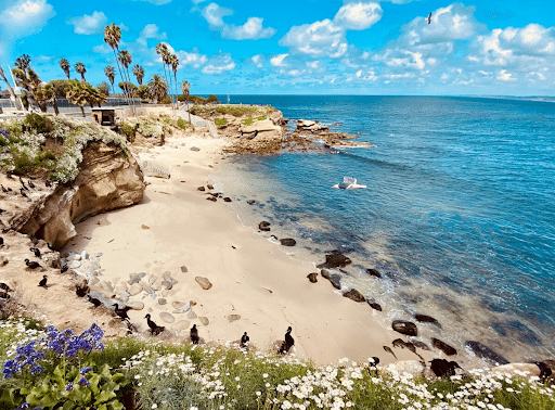 Breathteaking beach at San Diego