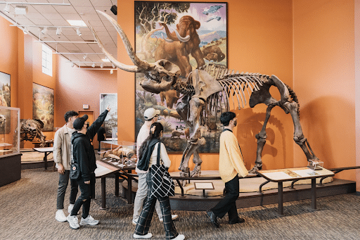 People admiring skeletons at San Diego Natural History Museum 
