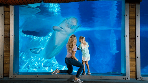 Mom and daughter look at the aquarium at Seaworld 