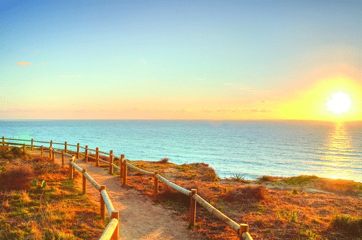 Torrey Pines State Beach