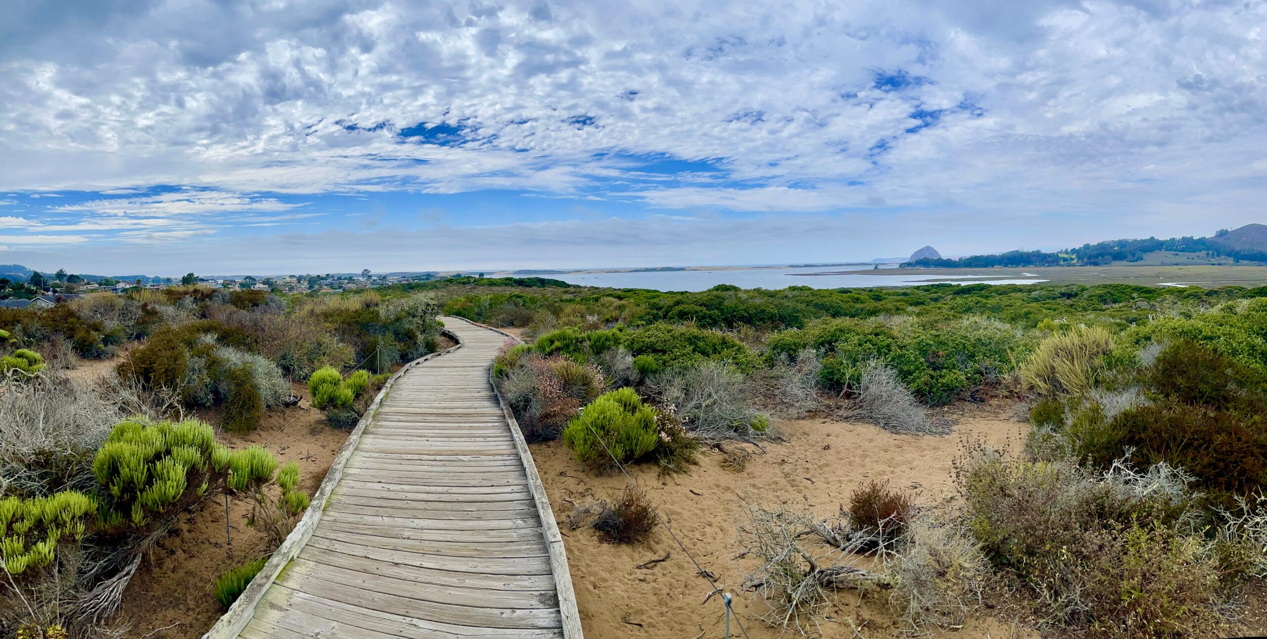 Explore North County San Diego Like a Local
