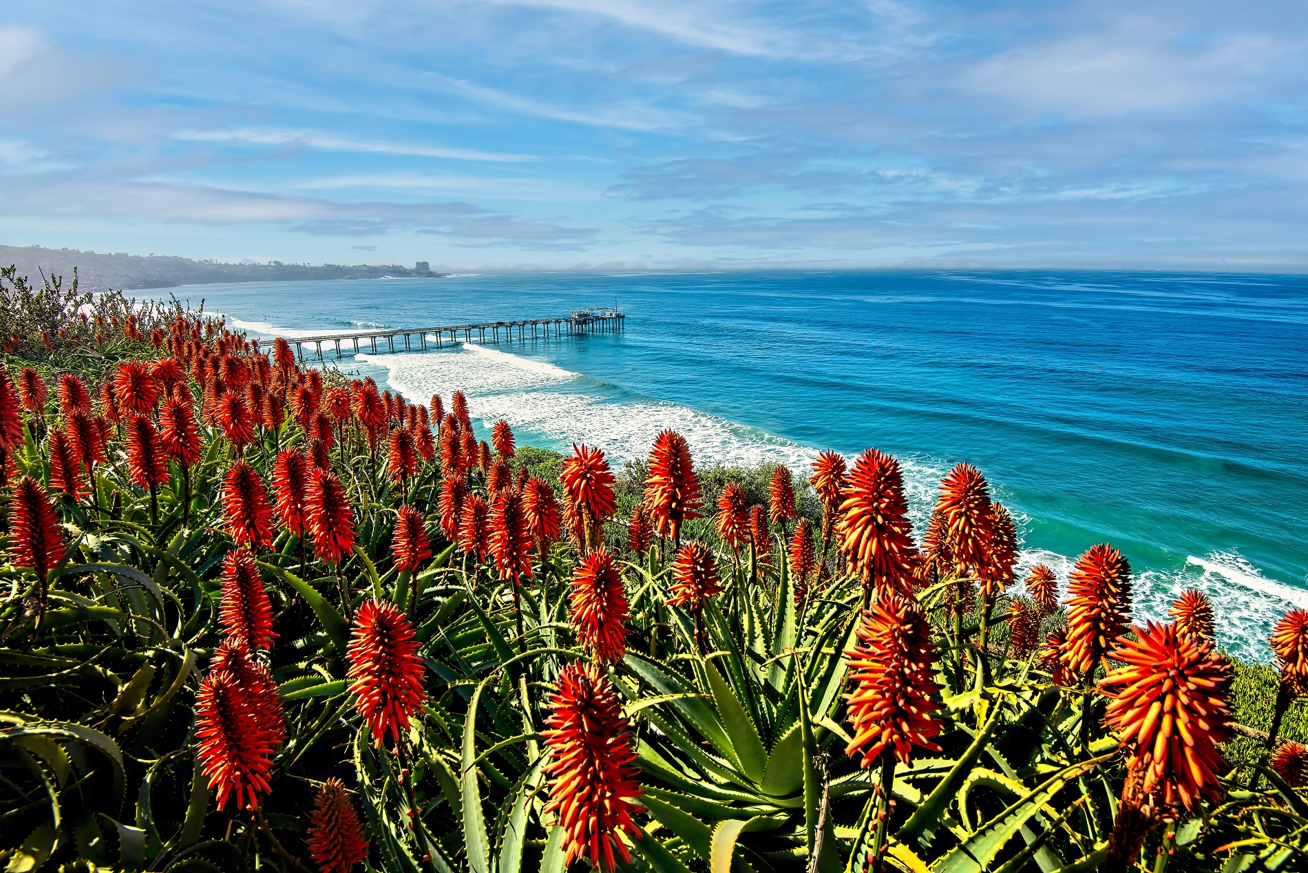 The Best Outdoor Activities in San Diego