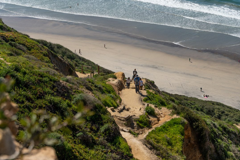 Black's beach
