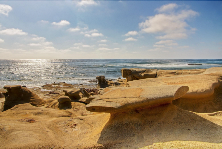 Mushroom beach