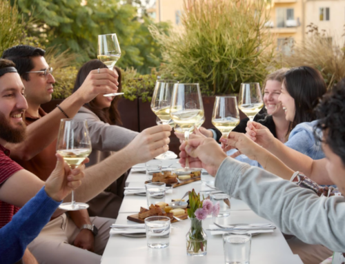 What Is a Wine Tour? How They Work & What to Expect