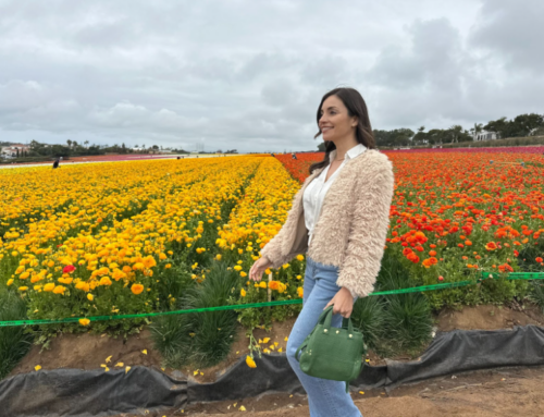 Things to Do in Carlsbad, California